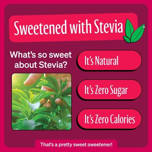 Zevia Zero Calorie Soda, Naturally Sweet, 12 Fl Oz (Pack Of 6)