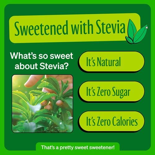 Zevia Zero Calorie Soda, Mountain Zevia, 12 Ounce Cans (Pack Of 6)
