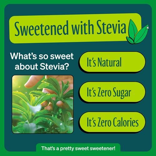 Zevia Zero Sugar Soda, Ginger Ale, 12 Ounce Cans (Pack Of 12)