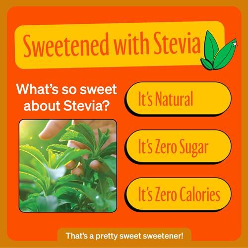 Zevia Zero Sugar Soda, Orange, 12 Ounce Cans (Pack Of 12)
