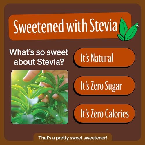 Zevia Zero Sugar Soda, Ginger Root Beer, 12 Ounce Cans (Pack Of 12)