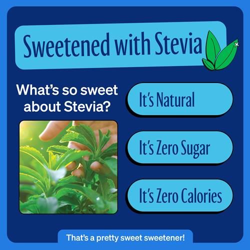 Zevia Cola Zero Calorie Soda , 12 Ounce Cans, 6 Pack