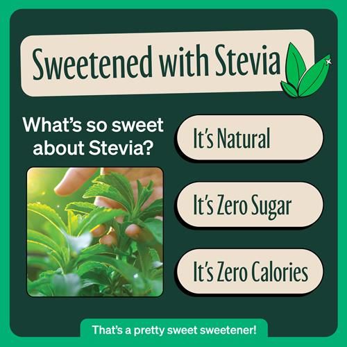 Zevia Organic Sweetened Peach Black Tea, 12 Fz
