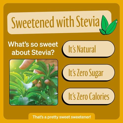 Zevia Zero Sugar Soda, Cream Soda, 12 Ounce Cans (Pack Of 12)