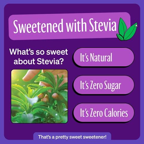 Zevia Zero Sugar Soda, Grape, 12 Ounce Cans (Pack Of 12)