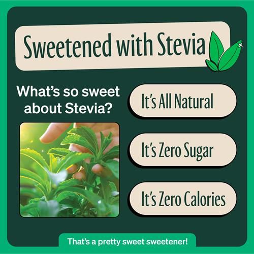 Zevia Organic Sweetened Raspberry Black Tea, 12 Fz